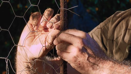 Reparación de fincas